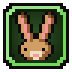 Hare's Ears